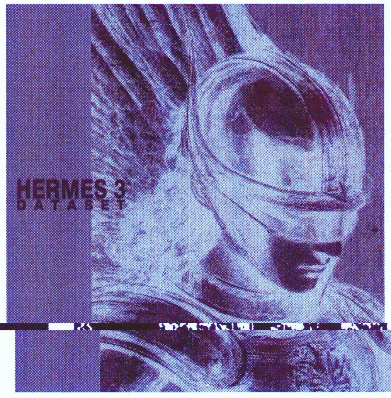 Hermes 3 Dataset — flagship aesthetic reference